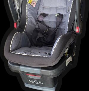 Graco Black and Gray Infant Car Seat
